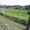 2012-10-vers le fromage-10